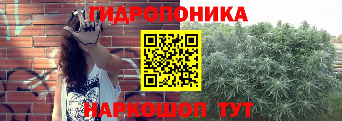Шишки марихуана конопля  Канабис конопля  Вход с VPN  Зеленодольск  Каннабис планчик 